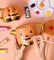Pott'd Painting Sorsi Stregati Teiera Halloween da Dipingere
