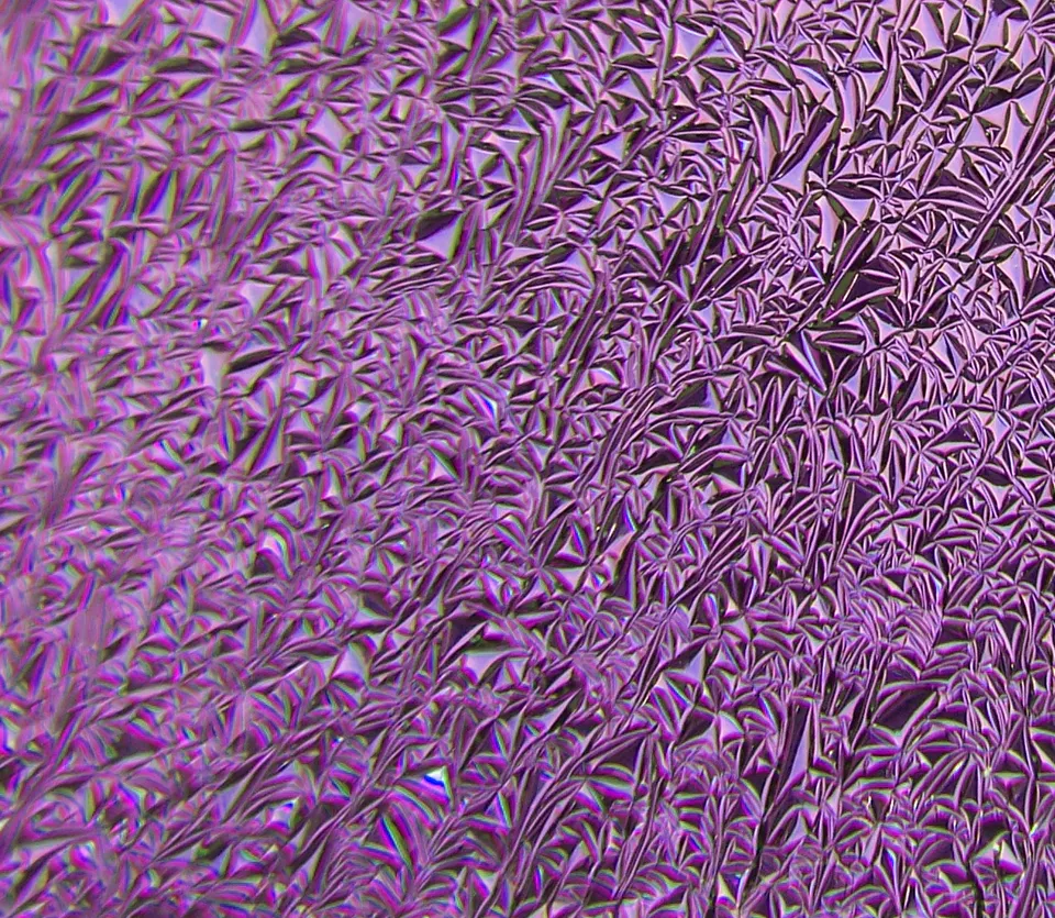 Cbs Dichroic Crinklized Purple vetro tondo 19" viola