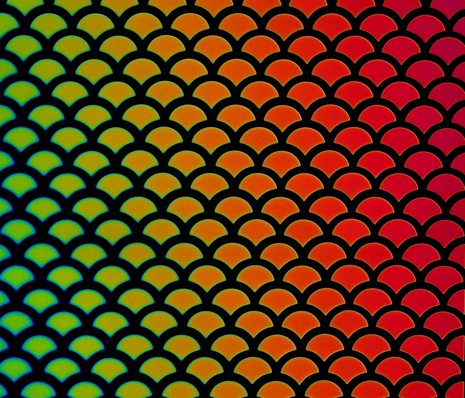 Cbs Dichroic Borderline Scale Rainbow #2 vetro dicroico quarter