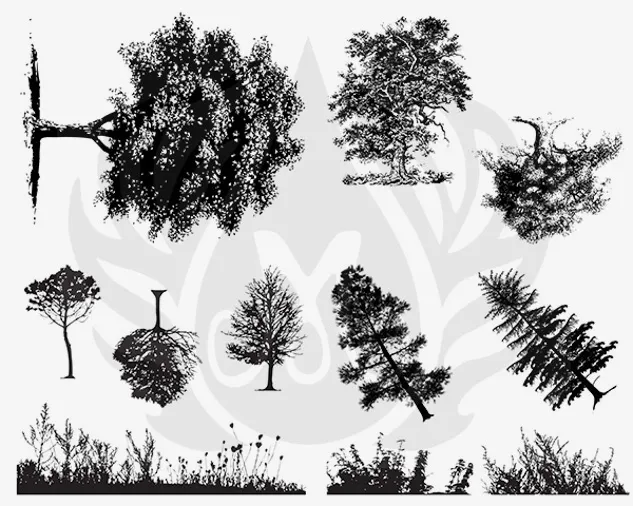 Mayco Silkscreens Botanical Trees serigrafia ceramica alberi