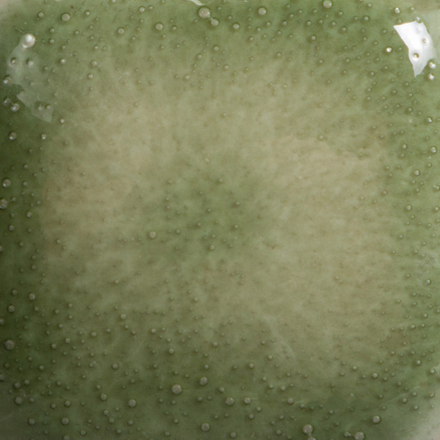 Mayco Stoneware Clearly Jade smalto verde giada