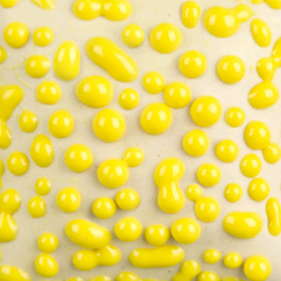 Mayco Ritual Glaze smalto grès Yellow Bead