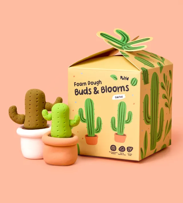 Pott'd Projects Cactus kit ceramica fiori fai da te cactus