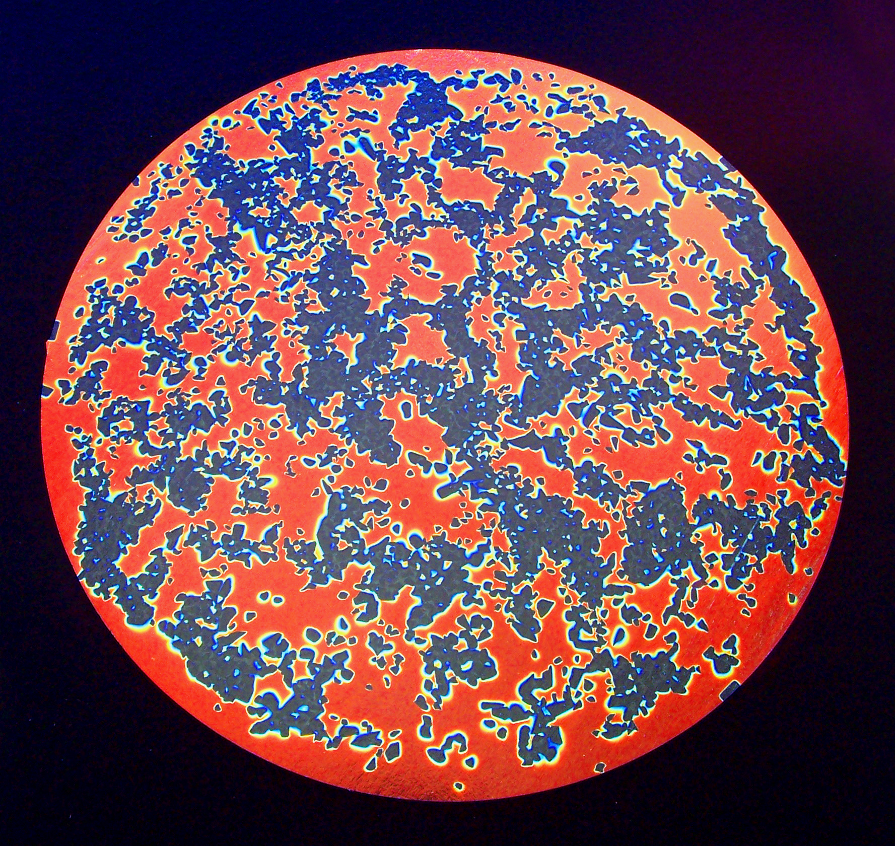 CBS Splatter Cyan Dark Red vetro dicroico 90 96 COE