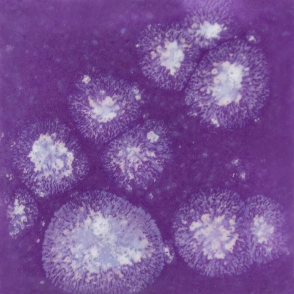 Cerama Smalti liquidi Grape Divine smalto cristalli verdi
