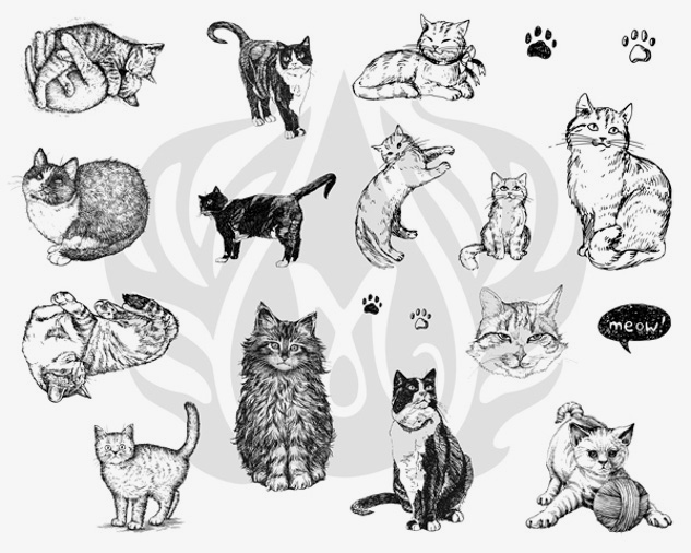 Mayco Silkscreens Cats serigrafia ceramica gatti