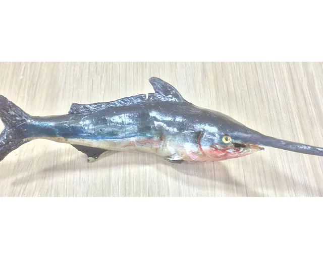 Ditta Montanini Cestini e minuteria in cera MC16 pesce spada L 16 cm