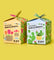 Pott'd Bundles Scherp & Zoet kit tulipani e cactus