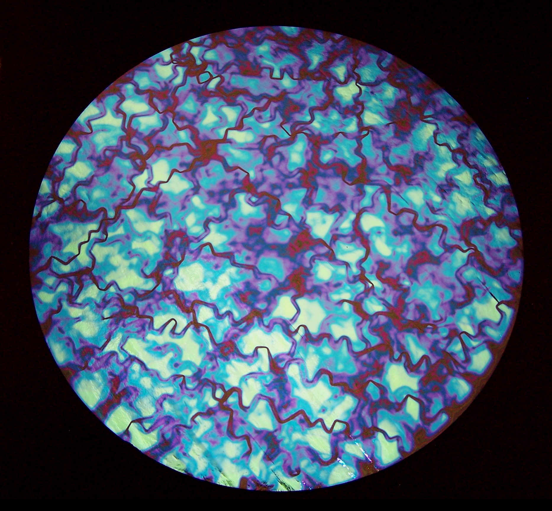 Cbs Dichroic Shop by Pattern Fusion vetro dicroico Red Silver Blue