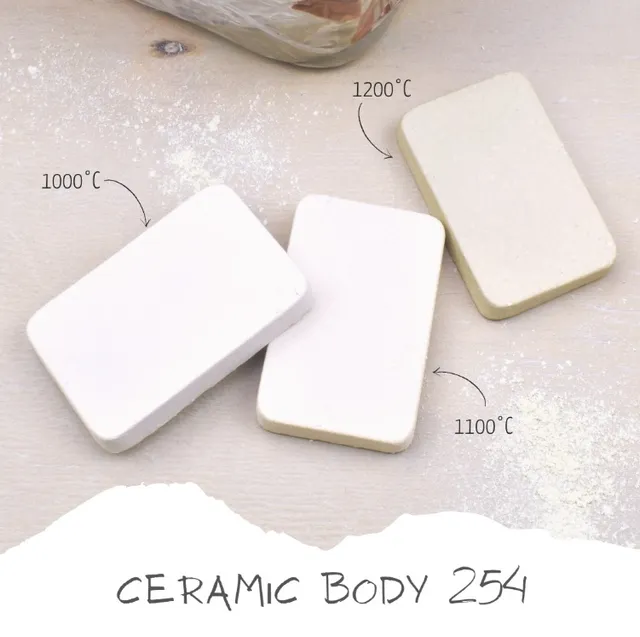 Cerama 254 G&S impasto ceramico stoneware chamotte fine