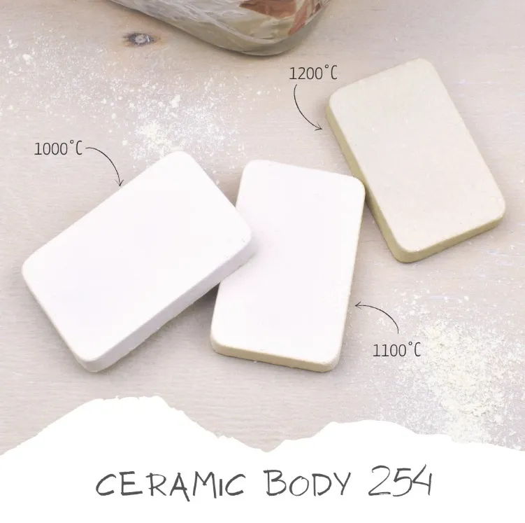 Cerama 254 G&S impasto ceramico stoneware chamotte fine