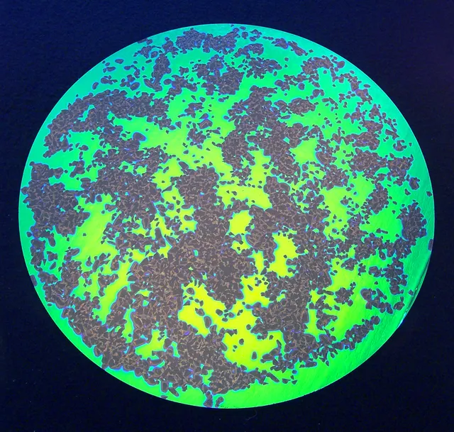 Cbs Splatter Emerald vetro dicroico smeraldo fusione