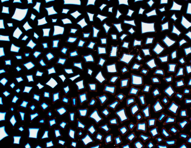 CBS Borderline Confetti vetro dicroico rosso argento quarto foglio