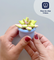 Pott'd Projects Buds & Blooms Succulents kit argilla piante grasse
