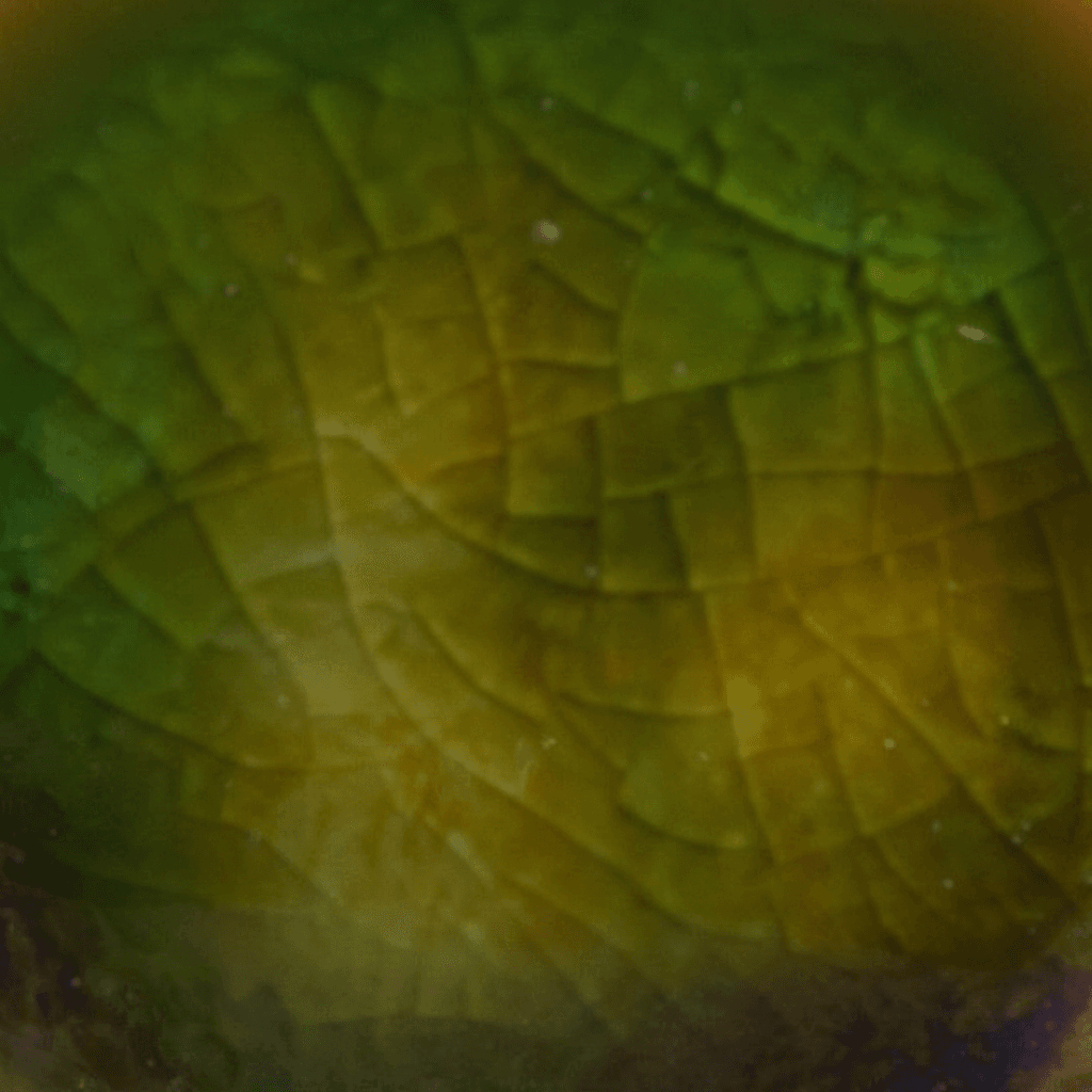 Mayco Jungle Gems Woodland Fantasy smalto verde smeraldo