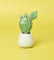 Pott'd Projects Succulente kit modellaggio piante