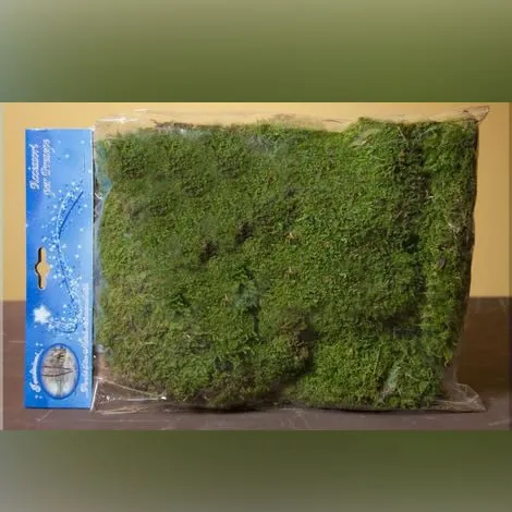 Ditta Montanini Muschio Naturale tappeto decorazione presepe