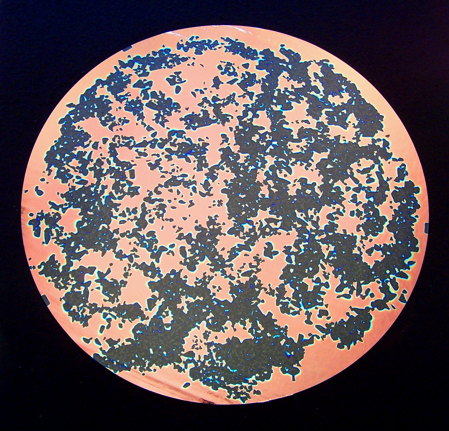 CBS Dichroic Splatter Salmon vetro dicroico base nera 90/96