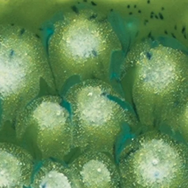 Mayco Jungle Gems Spotted Kiwi smalto ceramico verde