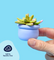 Pott'd Projects Buds & Blooms Succulents kit argilla piante grasse