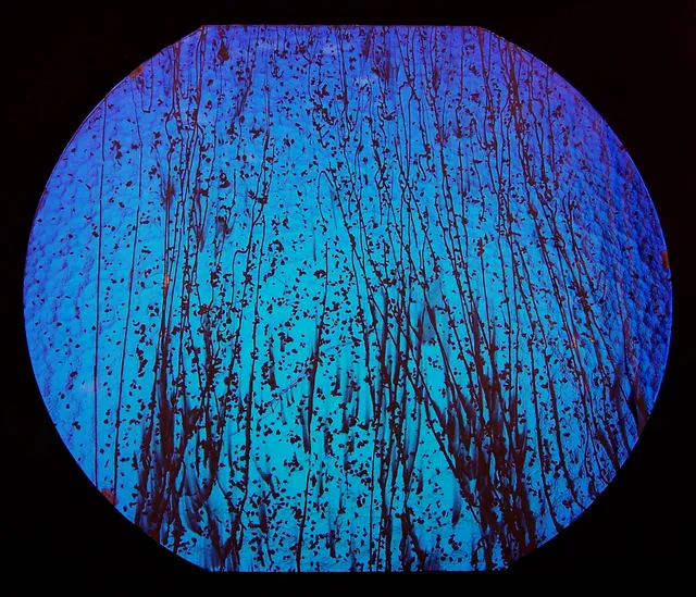Cbs Dichroic Specialty Glass Mardi Gras 4200 vetro fusione Yellow Blue