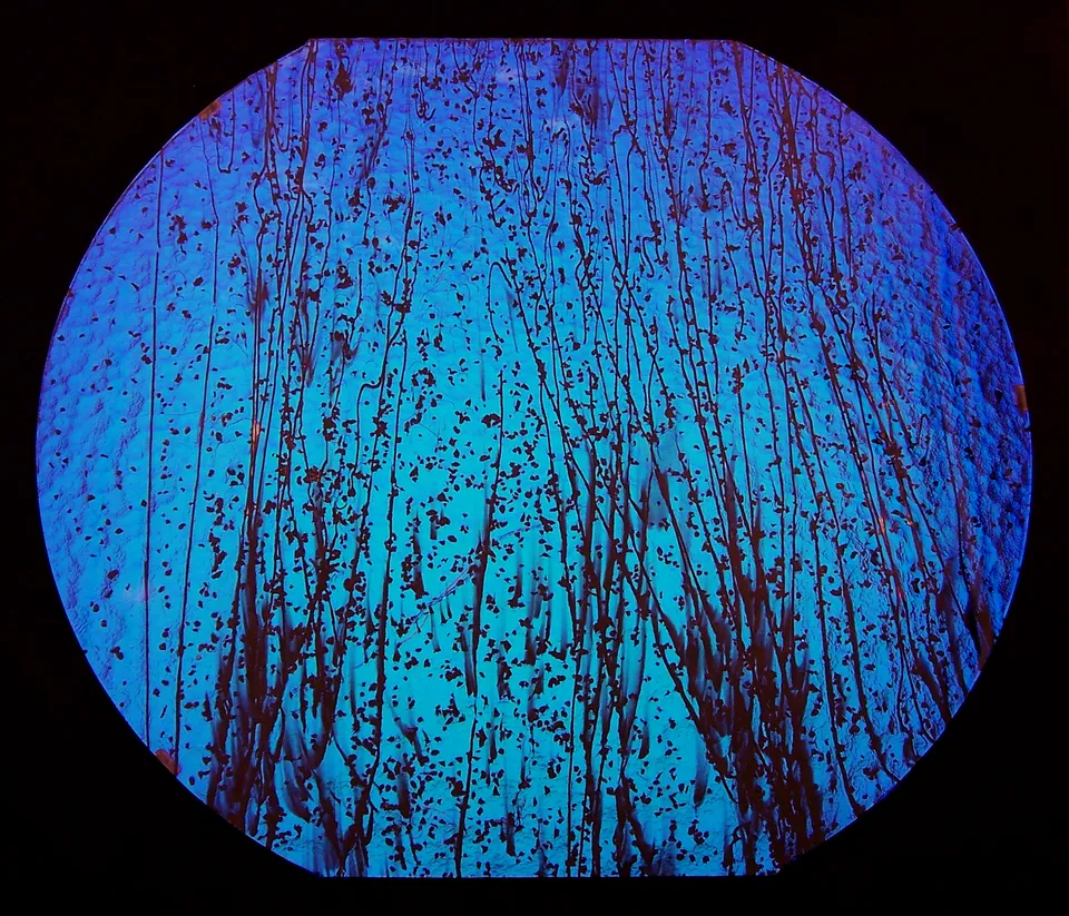 Cbs Dichroic Specialty Glass Mardi Gras 4200 vetro fusione Yellow Blue