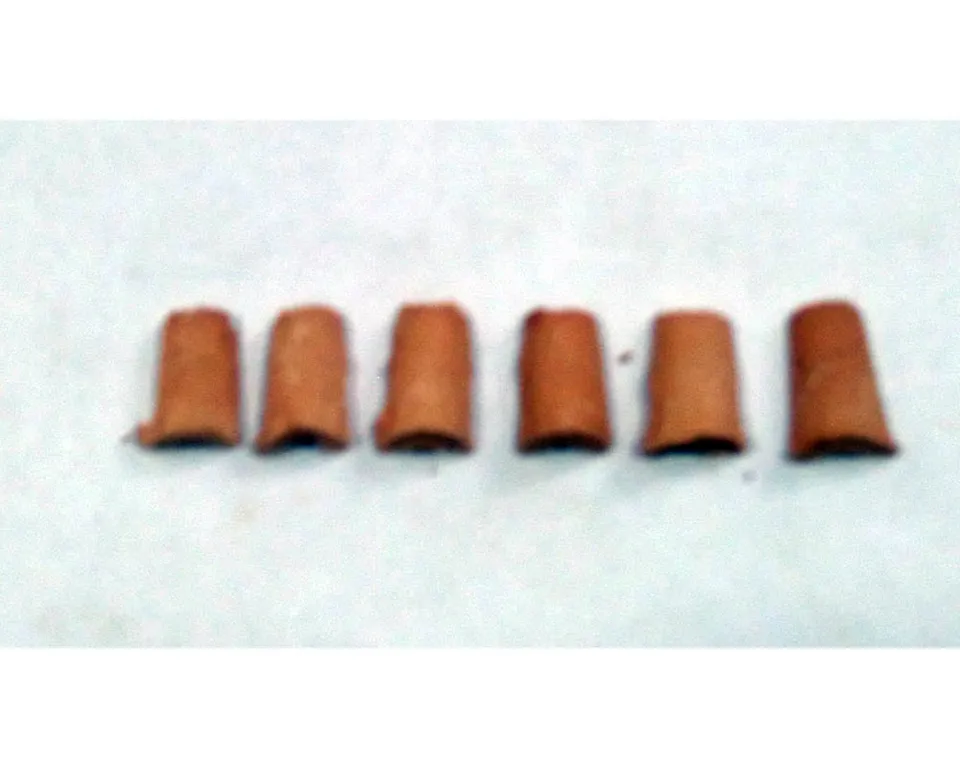 Ditta Montanini Tegole Terracotta 0,5x0,9 tegole miniatura 90 pezzi