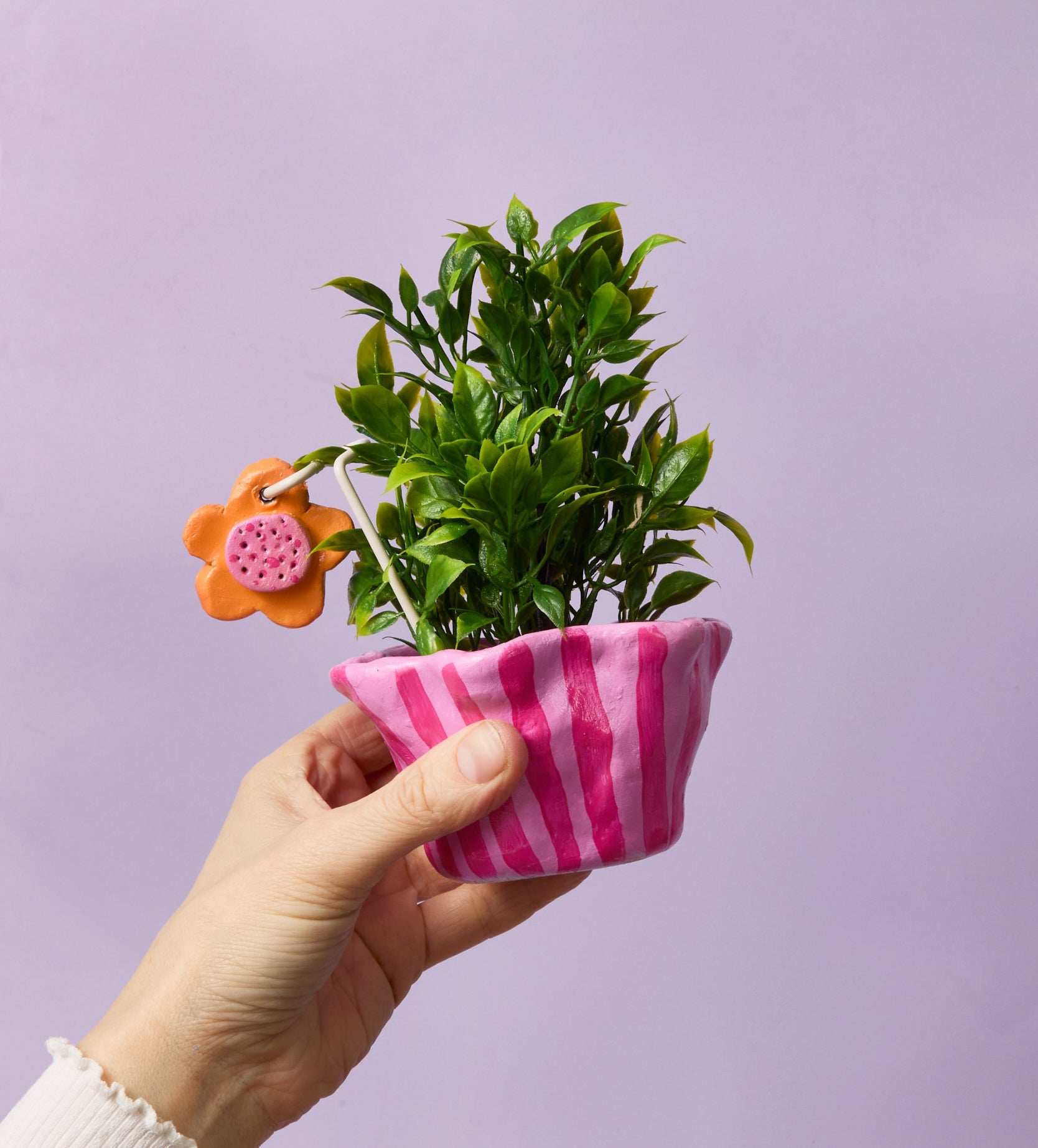 Pott'd Projects Petite Plant Charms kit piante mini giardino