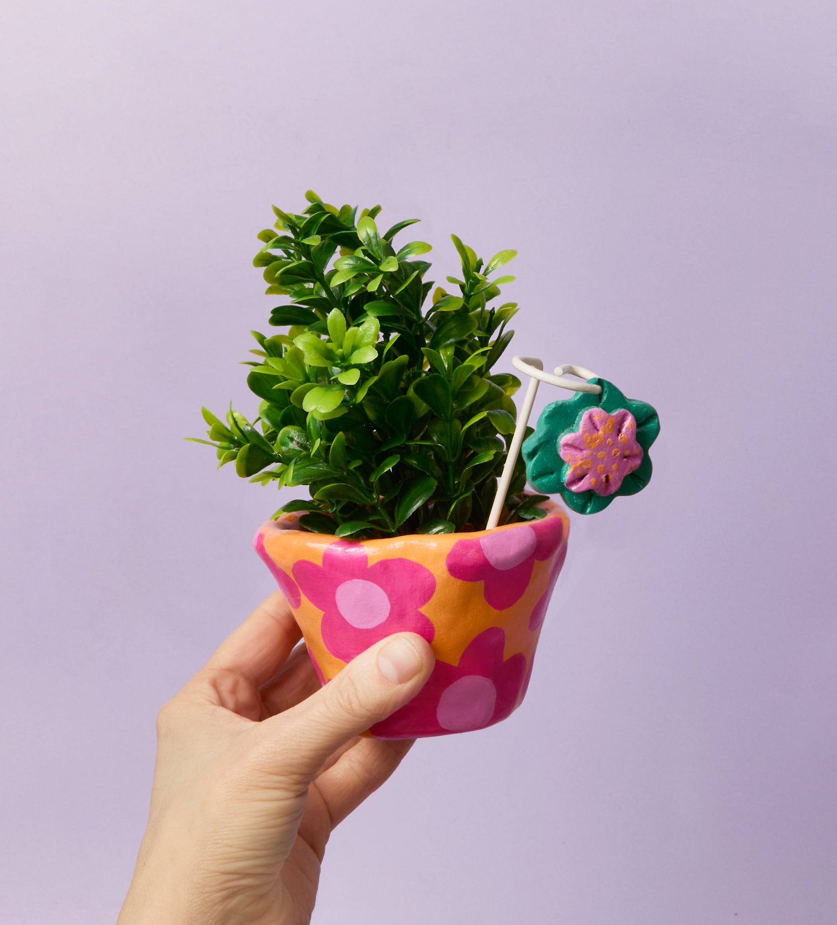 Pott'd Projects Petite Plant Charms kit piante mini giardino