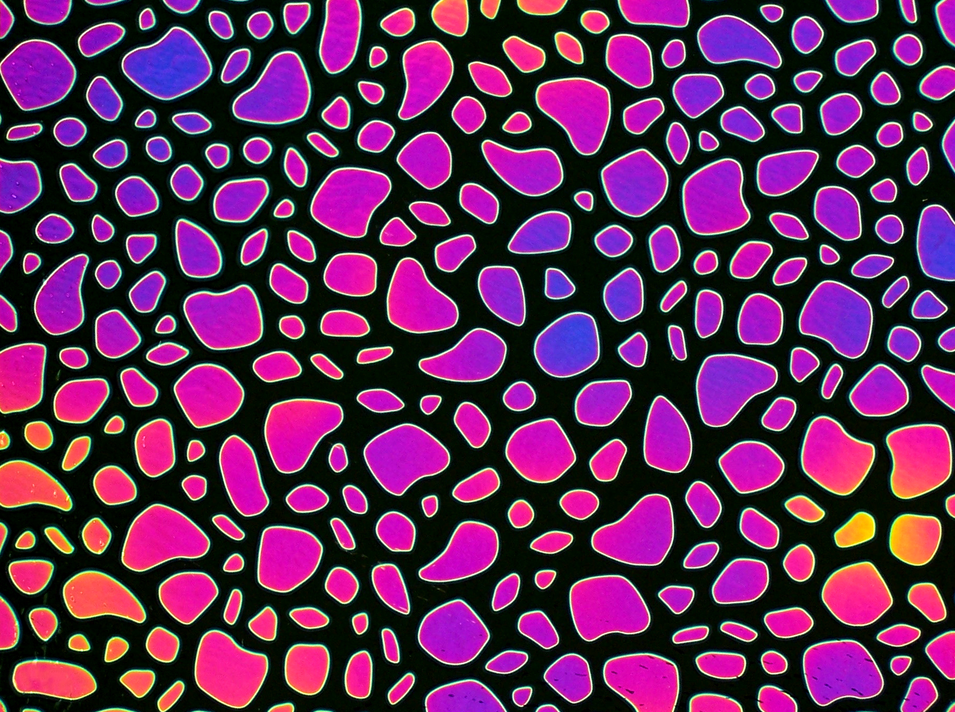 Cbs Dichroic Borderline River Rock vetro fusione aurora
