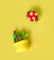 Pott'd Bundles Scherp & Zoet kit tulipani e cactus