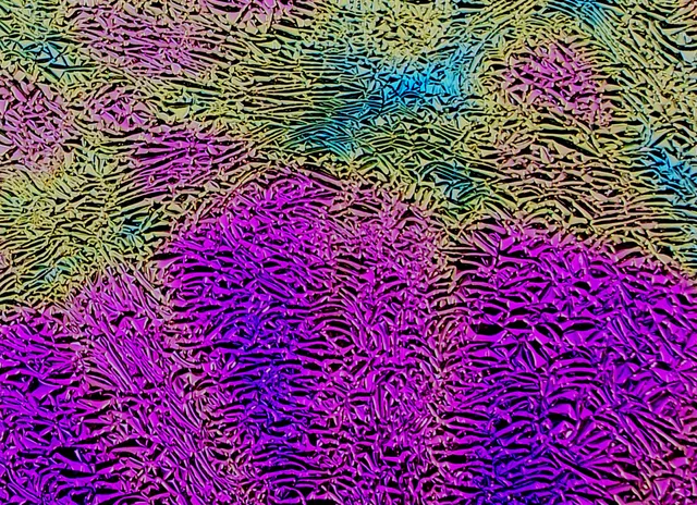 Cbs Dichroic Crinklized Pixie Stix vetro fusione verde magenta 19"
