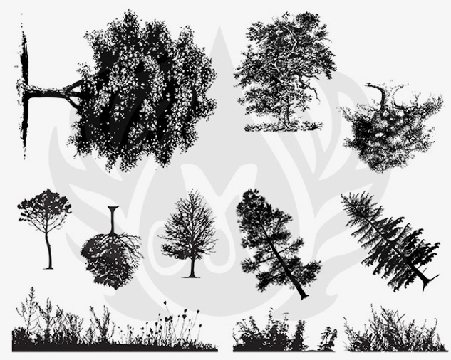 Mayco Silkscreens Botanical Trees serigrafia ceramica alberi