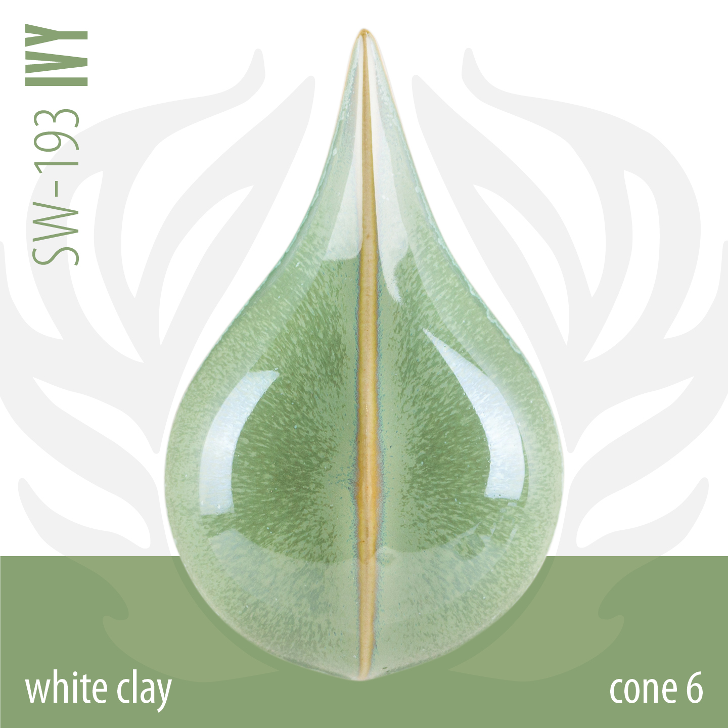Mayco Stoneware Ivy smalto ceramica verde alta temperatura