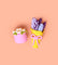 Pott'd Projects Blushing Blooms Set fiori rosa