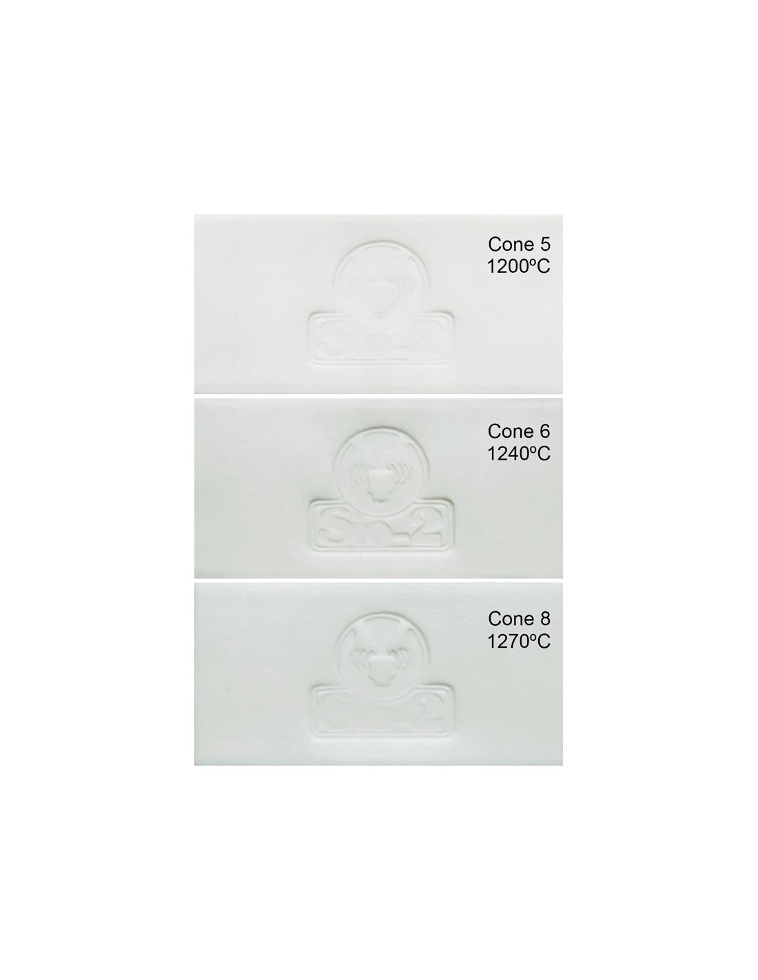 Aneto Slip SIo-2 porcellana da colaggio 6 kg