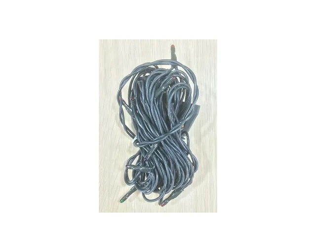 Ditta Montanini Articoli Elettrici AE29 serie 20 luci colorata