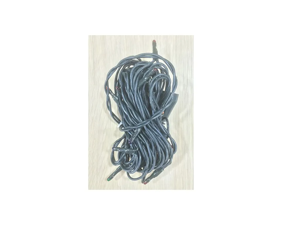 Ditta Montanini Articoli Elettrici AE29 serie 20 luci colorata