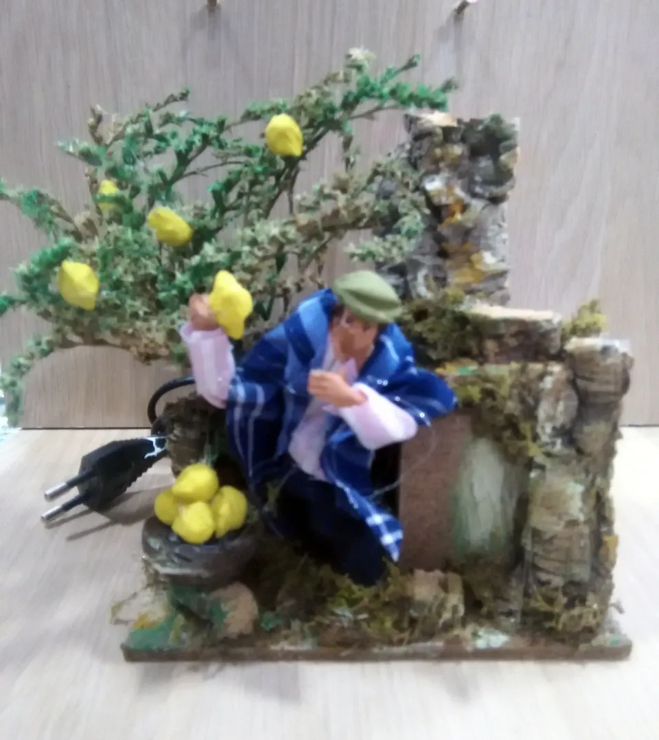 Ditta Montanini Pastori in movimento 10566 raccoglitore limoni