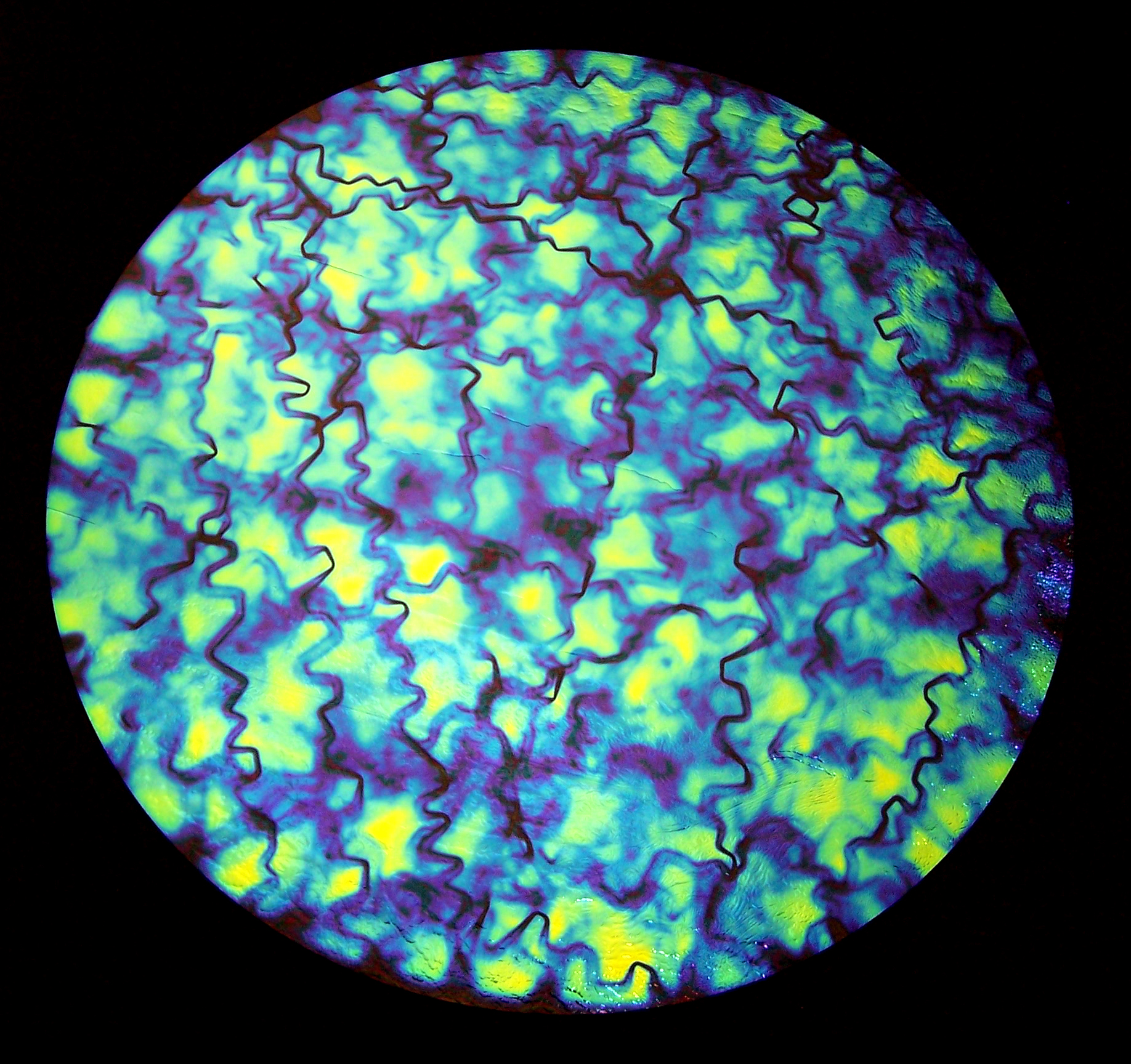 CBS Fusion on Blue Gold vetro dicroico blu oro pattern Fusion