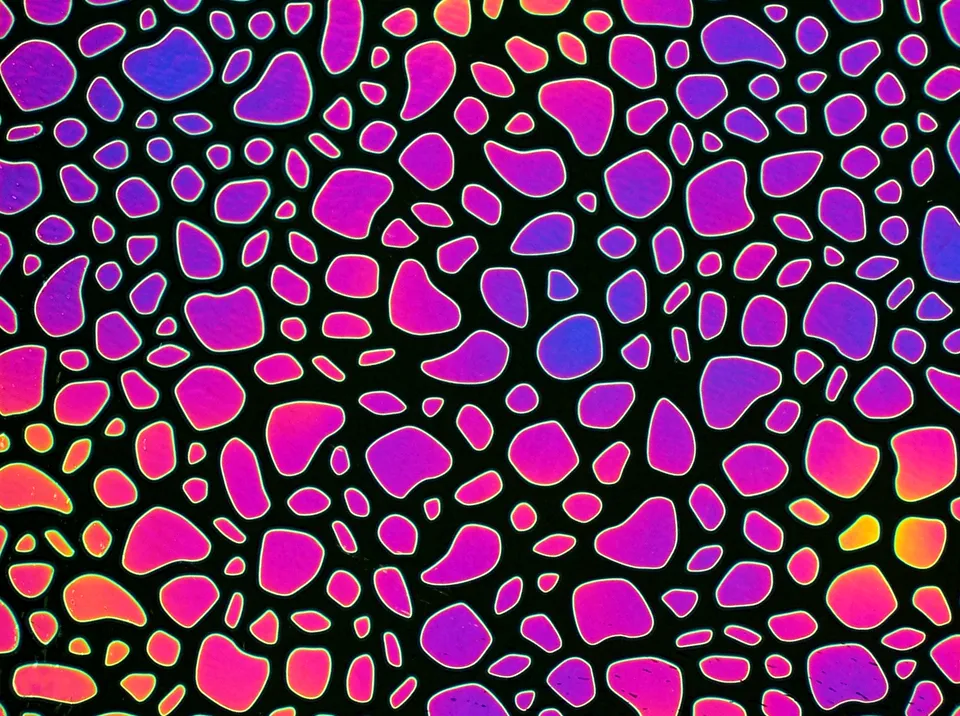 Cbs Dichroic Borderline River Rock vetro fusione aurora