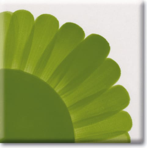 Cerama Sottocristalline Leaf Green colore verde foglia