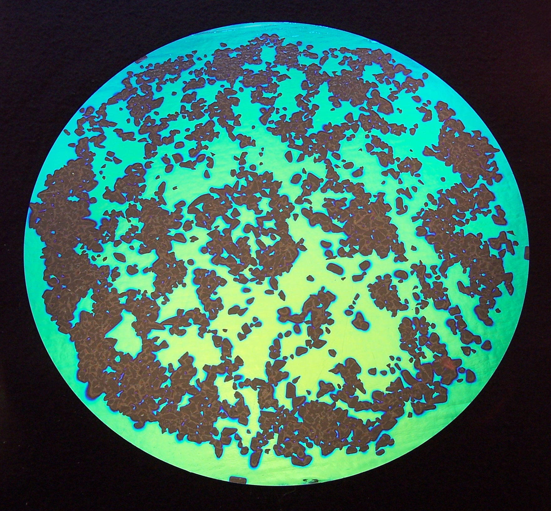 CBS Shop by Pattern Splatter vetro dicroico magenta verde 90/96 COE