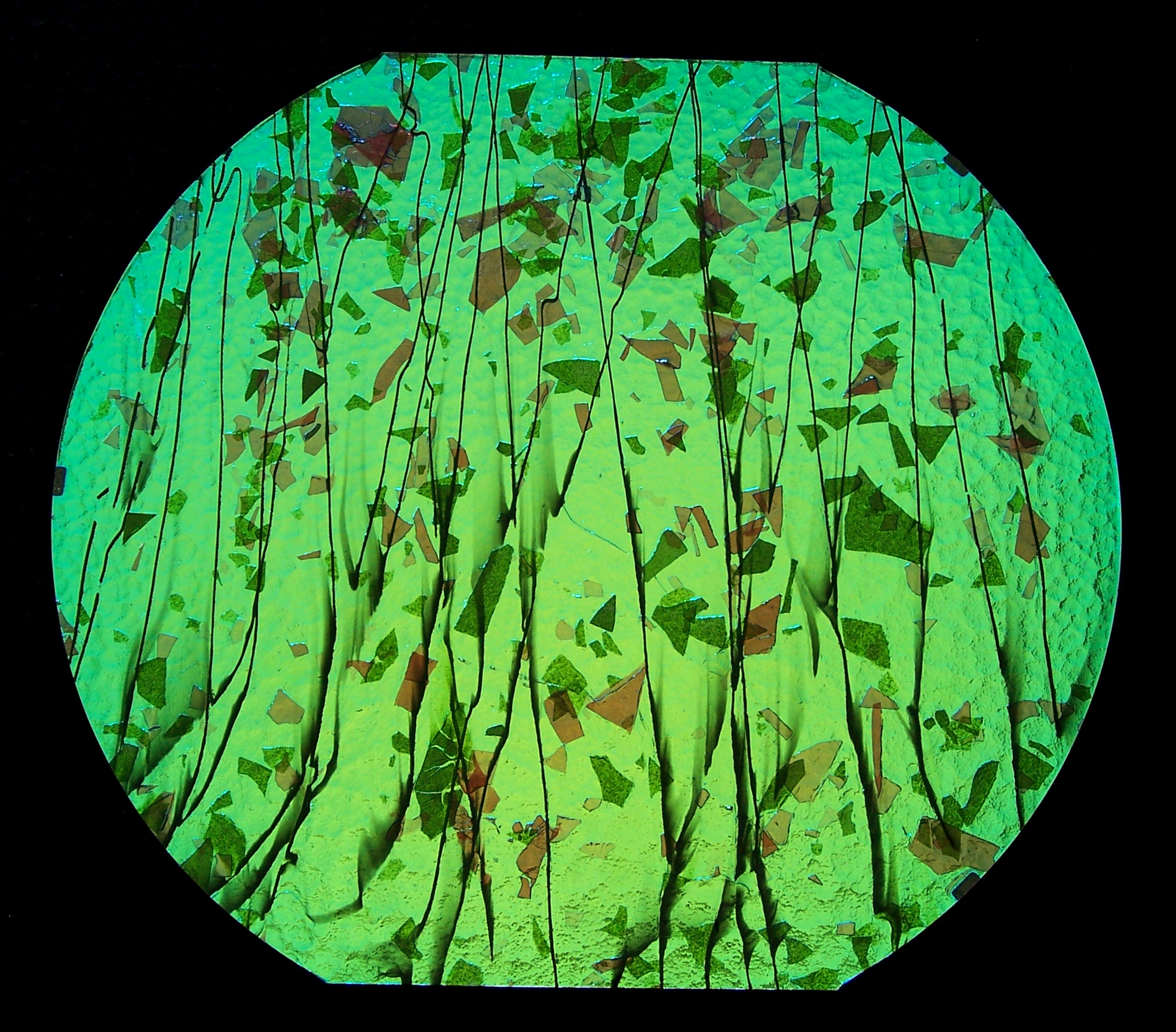 Cbs Dichroic Specialty Fracture 4114 Magenta Green vetro 90 COE