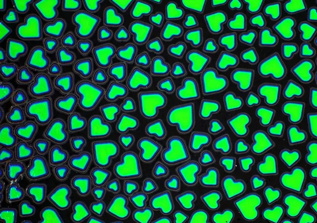 Cbs Dichroic Borderline Hearts Emerald vetro dicroico cuori smeraldo COE 90/96