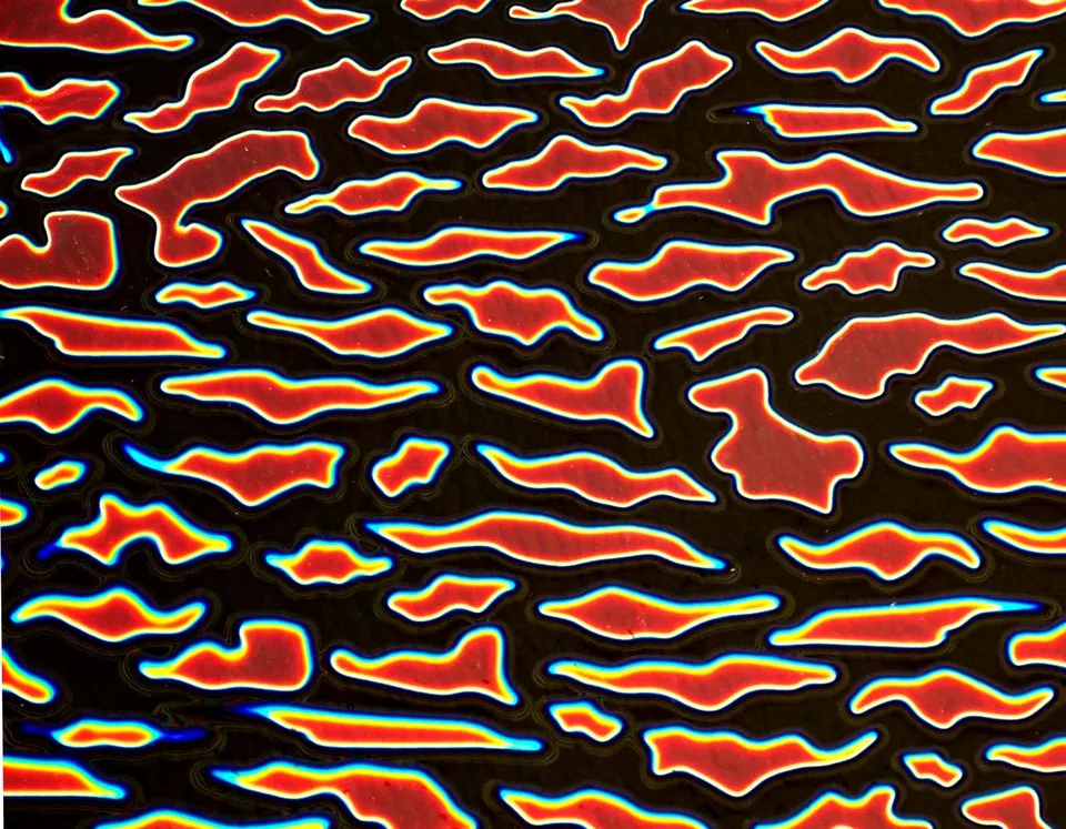 Cbs Dichroic Borderline Animal Cyan vetro dicroico quarter