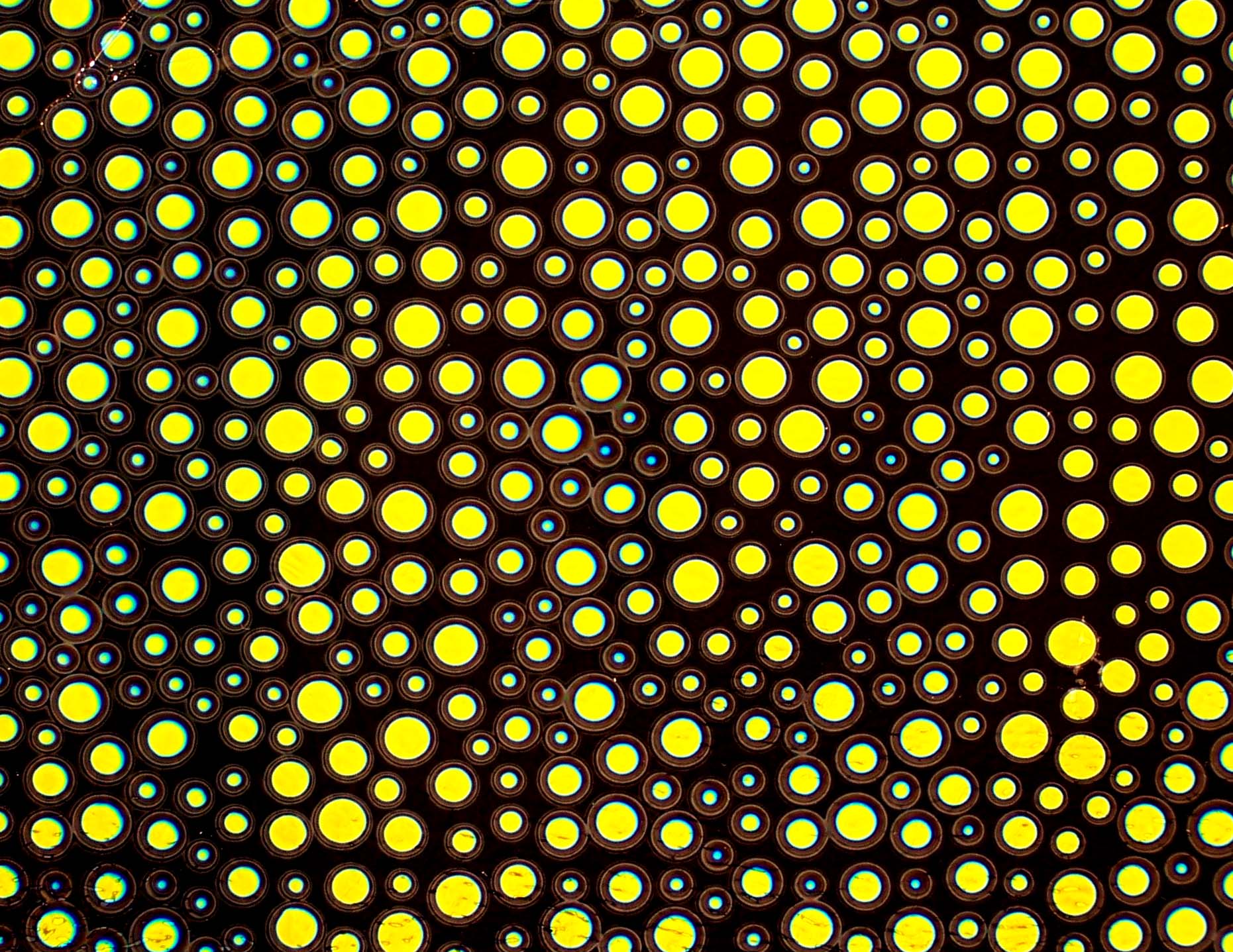 CBS Dichroic Borderline Bubbles vetro fusione Cyan Copper quarto
