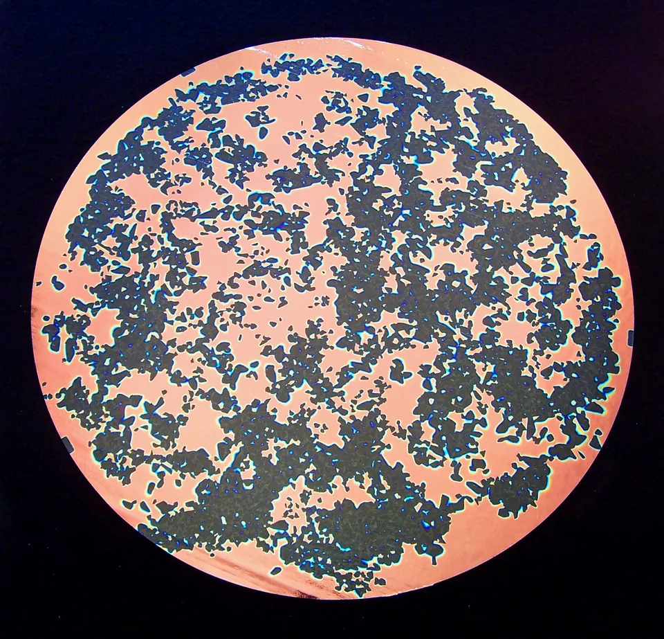 CBS Dichroic Splatter Salmon vetro dicroico base nera 90/96