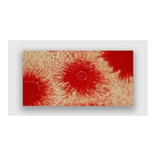 CERCO Mocha Paints MCH 753 colore ceramica Mocha Red