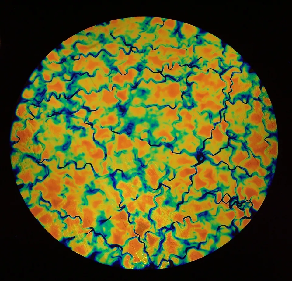 CBS Dichroic Fusion Salmon vetro dicroico fusione intenso